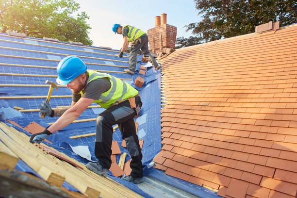 Best Metal Roofing Installation  in Kaunakakai, HI